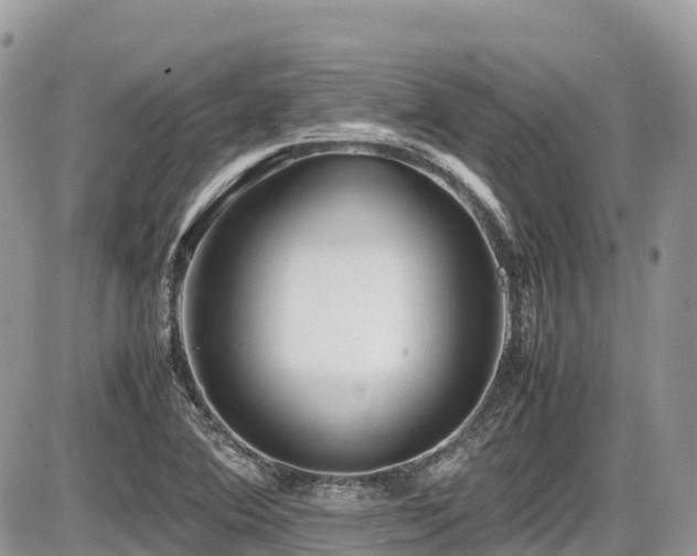 X0000087401364200704201257