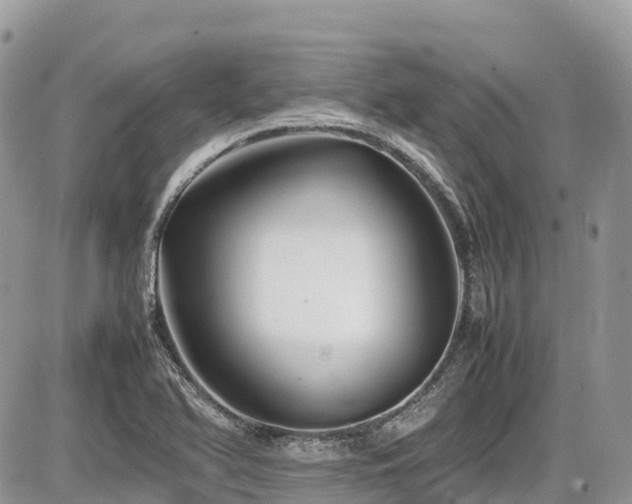 X0000087401366200704201257