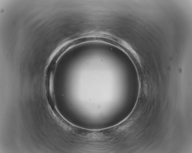 X0000087401368200704201257