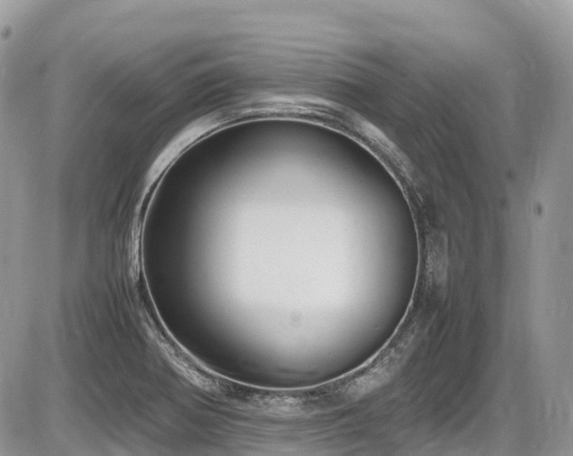 X0000087401370200704201257