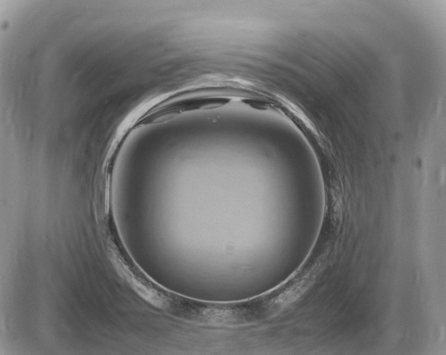 X0000087401371200704201257