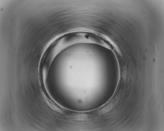 X0000087401372200704201257