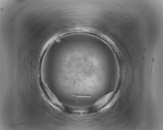 X0000087401373200704201257