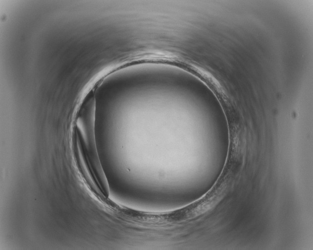 X0000087401375200704201257