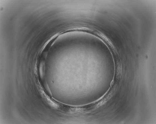 X0000087401377200704201257