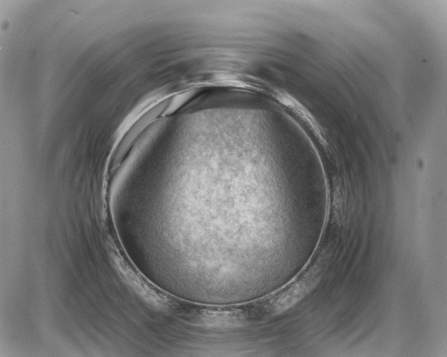 X0000087401378200704201256