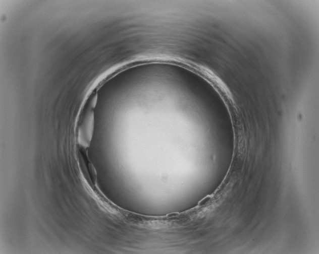 X0000087401380200704201256