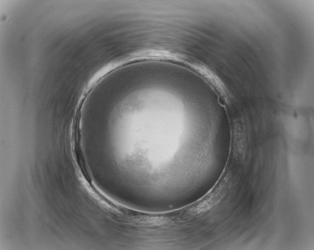 X0000087401382200704201256