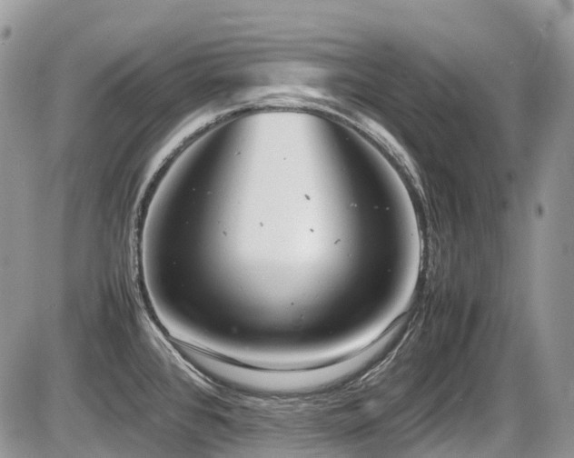 X0000087401384200704201256