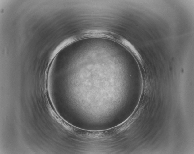 X0000087401386200704201256