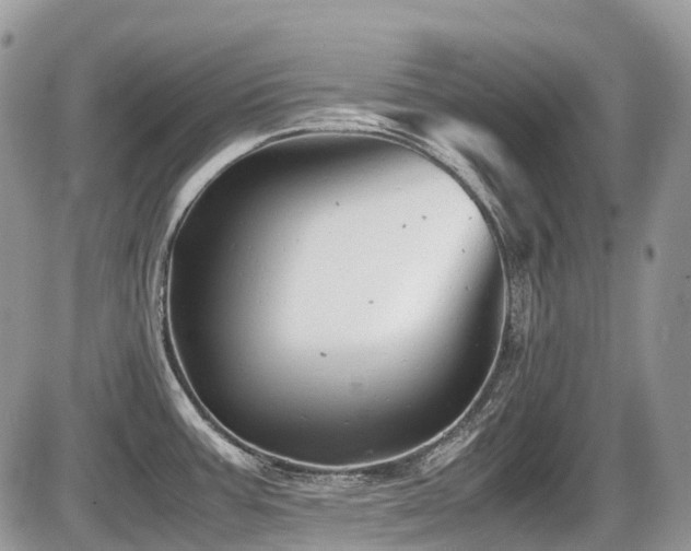 X0000087401387200704201256