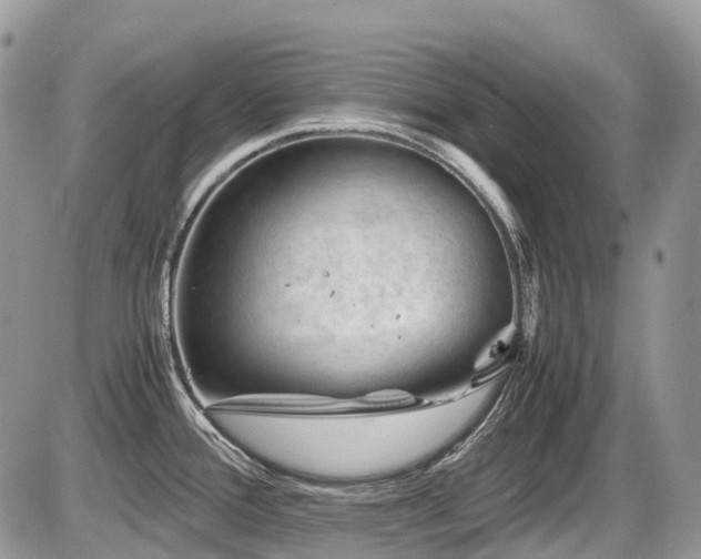 X0000087401388200704201256