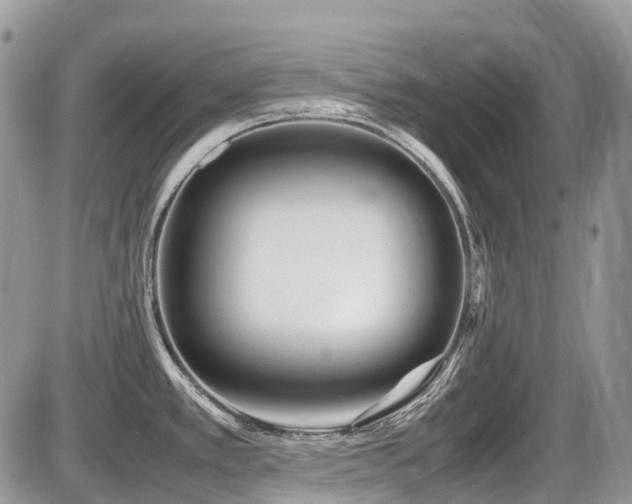 X0000087401389200704201256