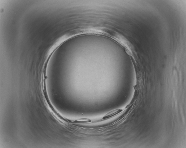 X0000087401391200704201256