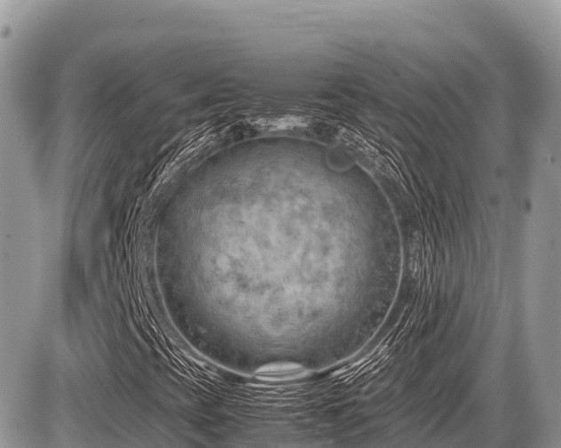 X0000087401393200704201255
