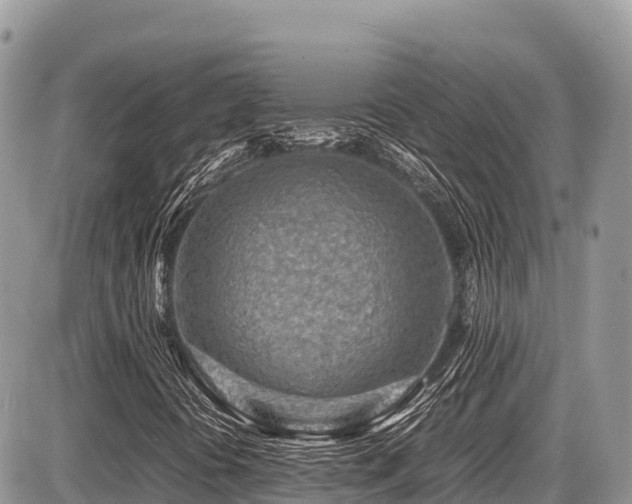 X0000087401394200704201256