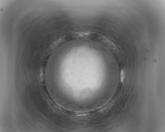 X0000087401395200704201256
