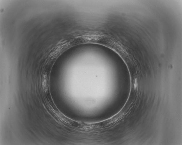X0000087401396200704201256