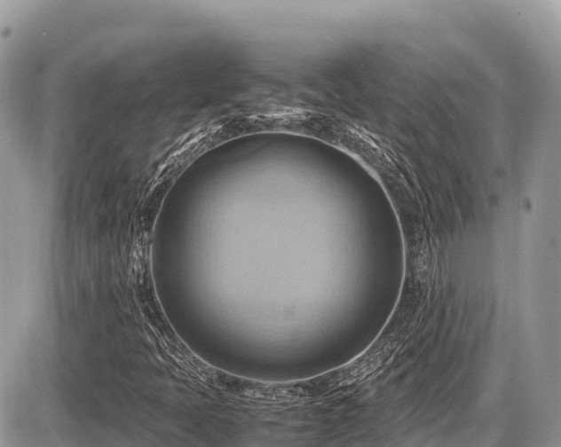 X0000087401397200704201256