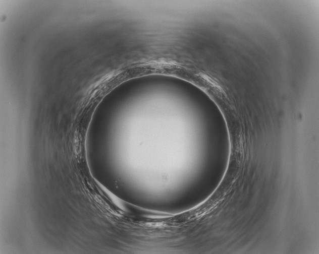 X0000087401398200704201256