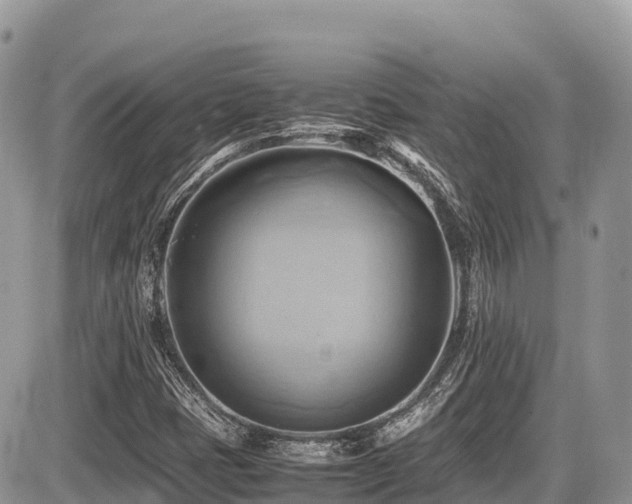 X0000087401401200704201256