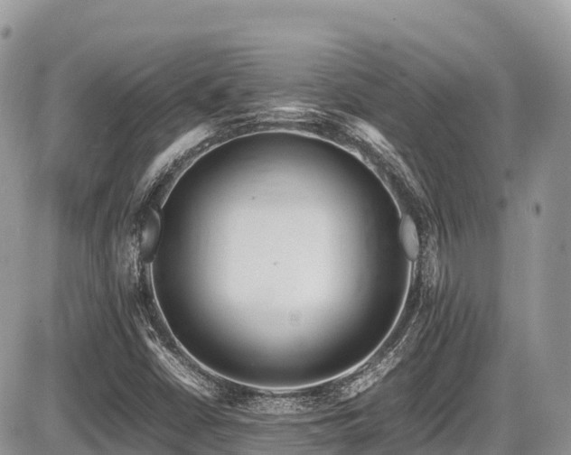X0000087401402200704201256