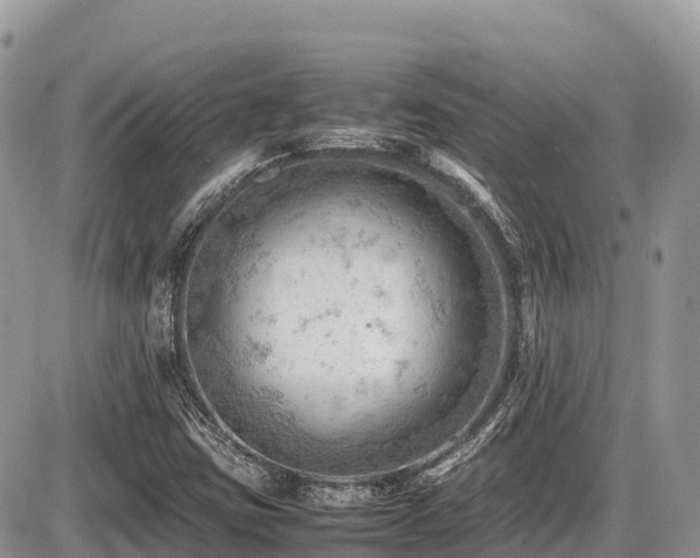X0000087401403200704201256