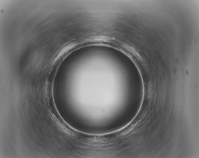 X0000087401404200704201256
