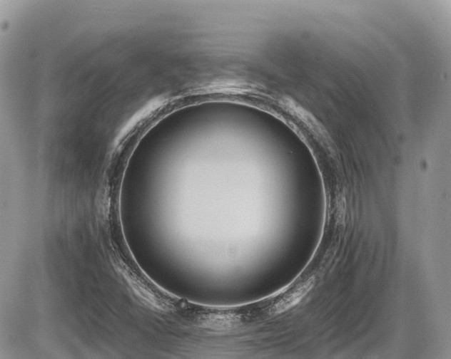 X0000087401406200704201256