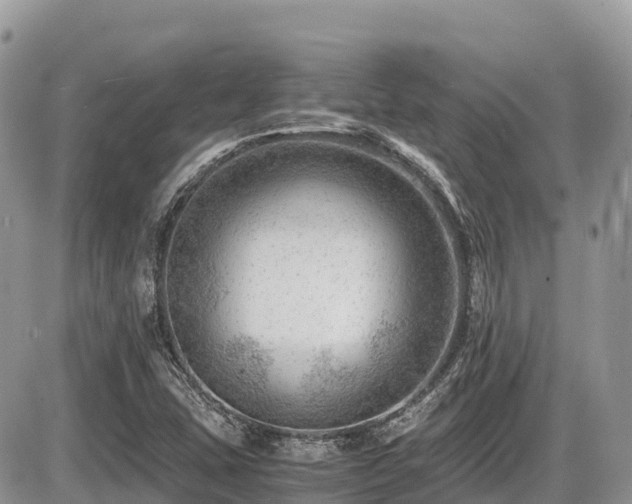 X0000087401407200704201256