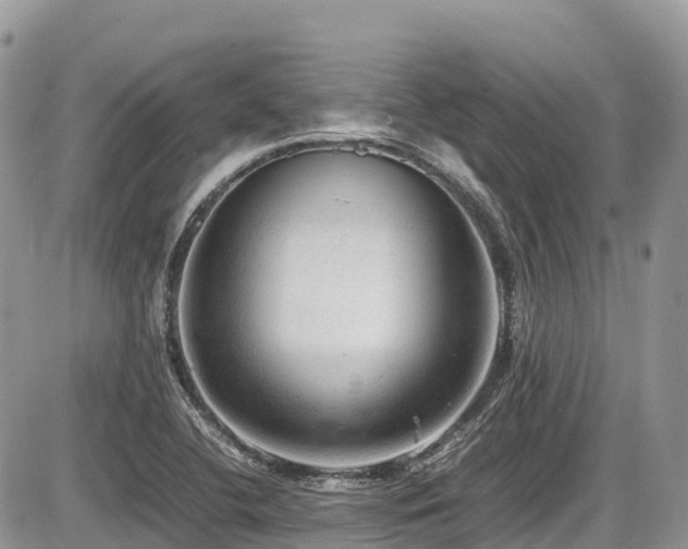 X0000087401412200704201256