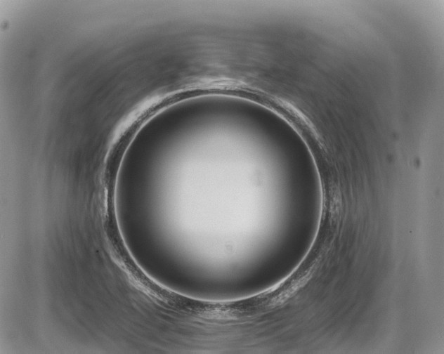 X0000087401414200704201256