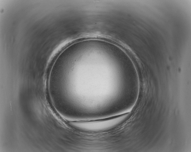 X0000087401416200704201256