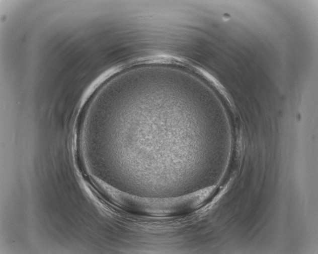 X0000087401418200704201256
