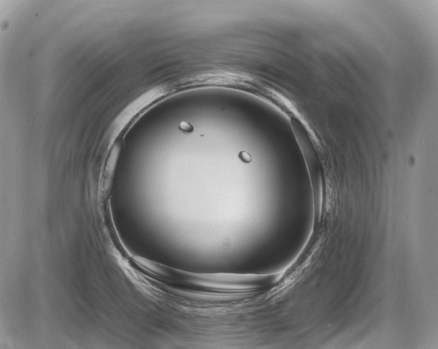 X0000087401426200704201256