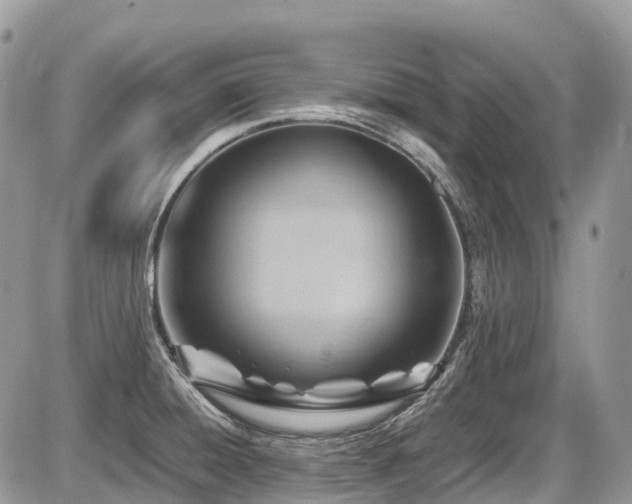 X0000087401428200704201256