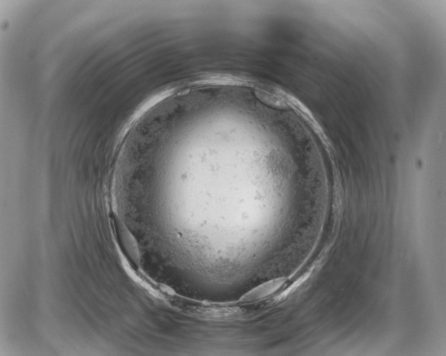 X0000087401433200704201256