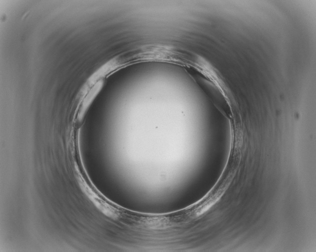 X0000087401434200704201256