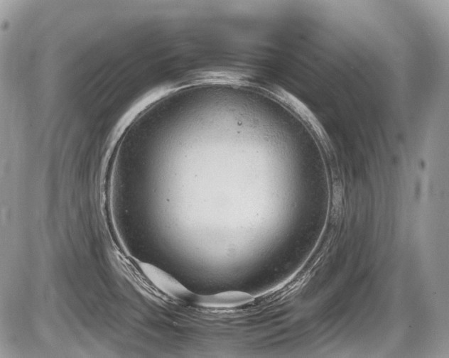 X0000087401435200704201256