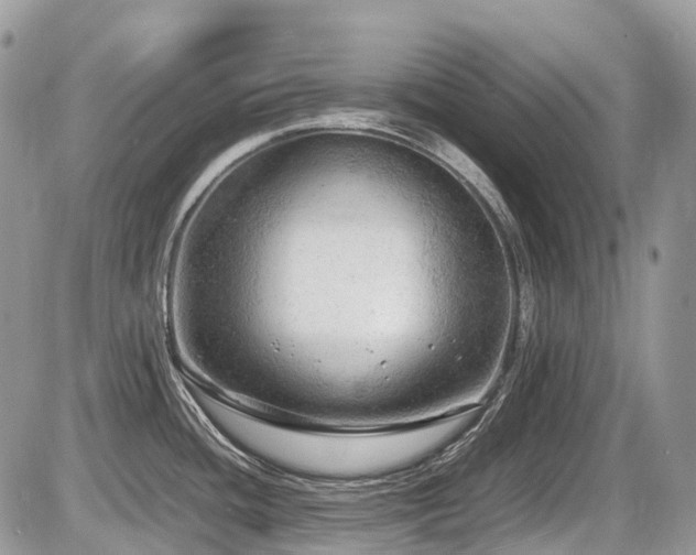 X0000087401436200704201256