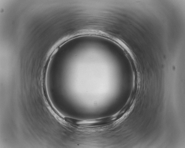 X0000087401438200704201256