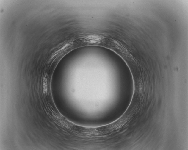 X0000087401442200704201255