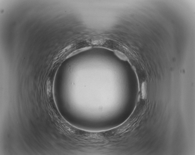 X0000087401443200704201255