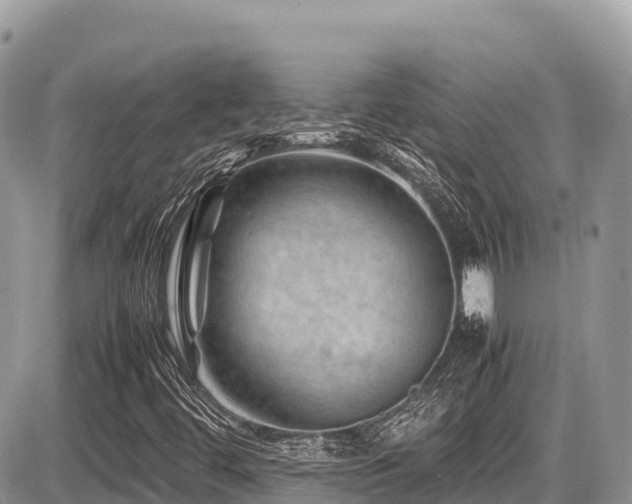 X0000087401444200704201255