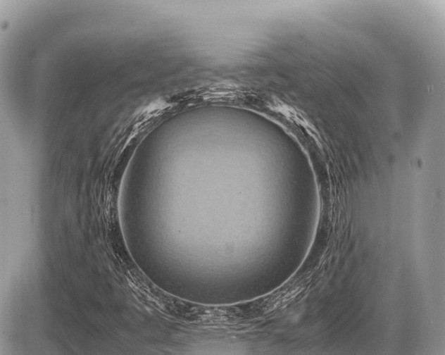 X0000087401445200704201255