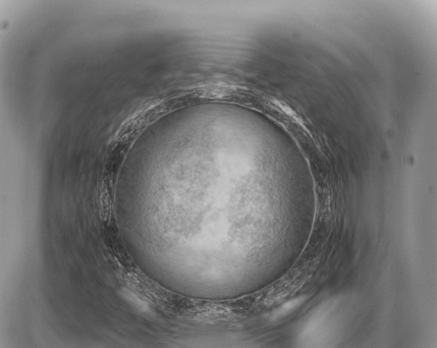X0000087401446200704201255