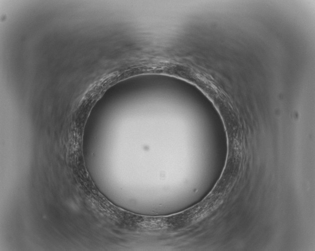 X0000087401447200704201255