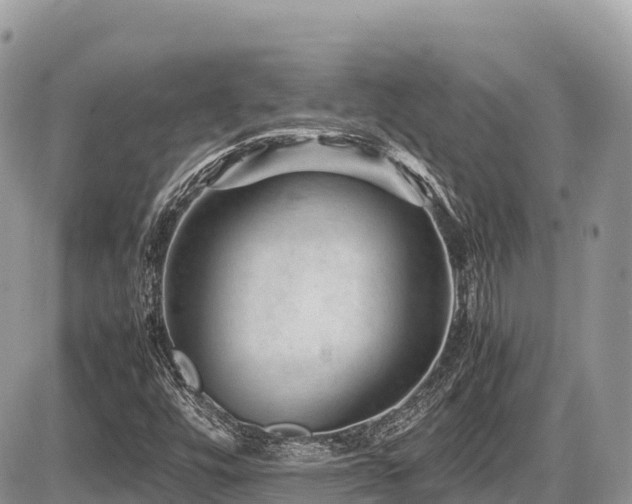 X0000087401448200704201255