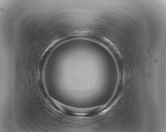 X0000087401449200704201255