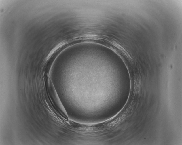 X0000087401450200704201255